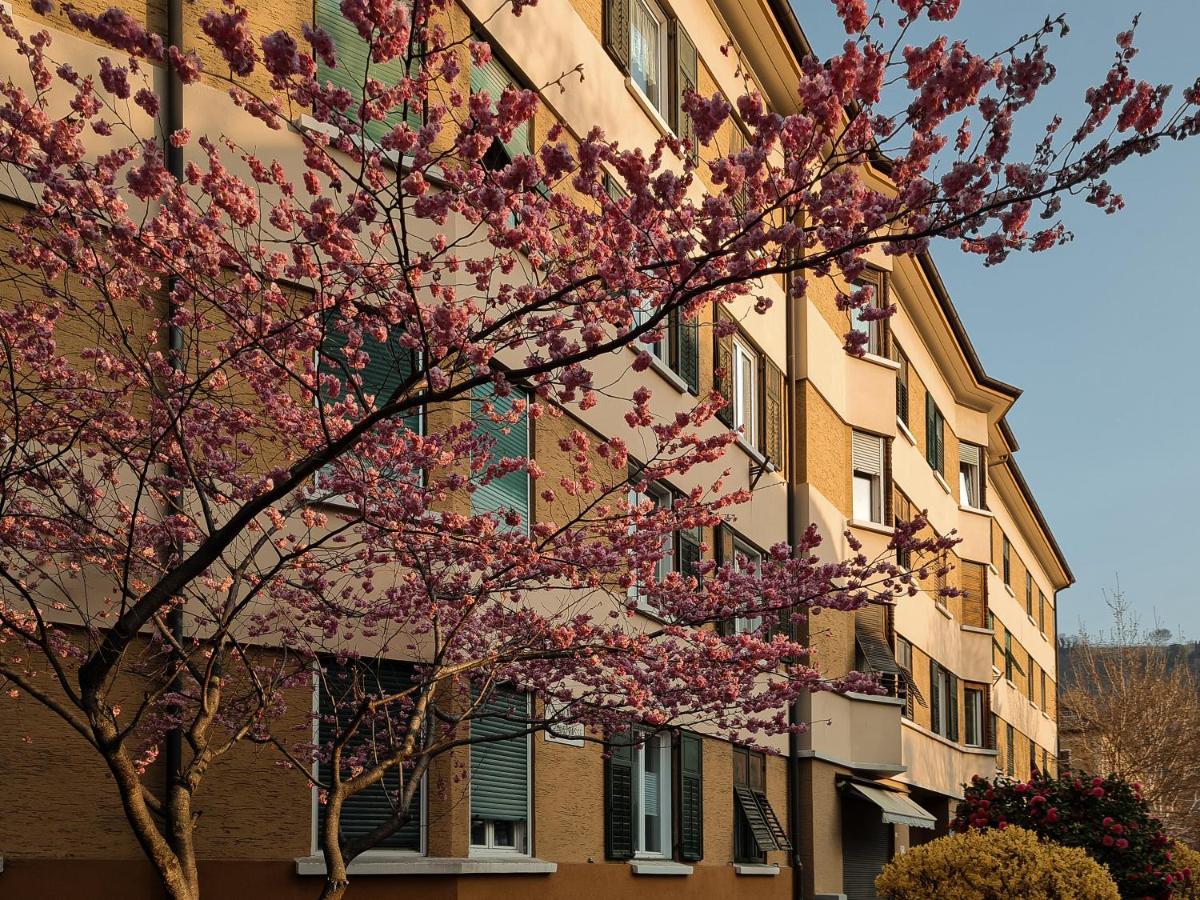 Central Suite Meran Экстерьер фото